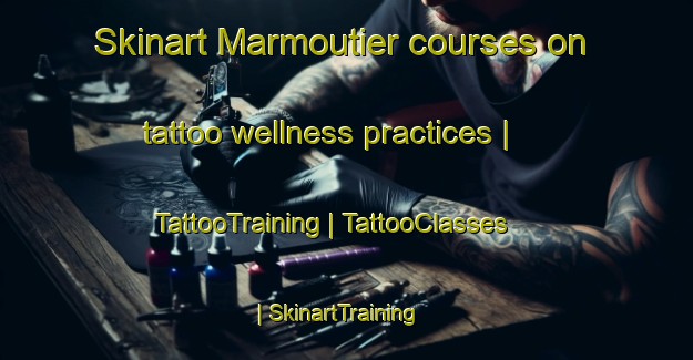 Skinart Marmoutier courses on tattoo wellness practices | TattooTraining | TattooClasses | SkinartTraining-France